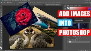 How To Insert An Image Into Photoshop | Add Images To Photoshop Full Guide