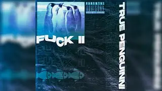 true penguinni - fuck II (prod. by llouis) [AUDIO]