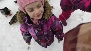 Где утки зимуют.