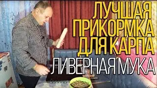 Прикормка для карпа. Ливерная мука своими руками.