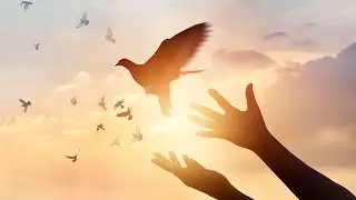 Soin du collectif de thérapeutes Terre d'Unité - "La Paix en tous et partout"