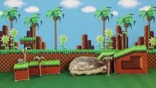 Sonic the Hedgehog Adult Swim Commercial