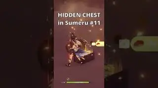 HIDDEN CHEST you might have missed in Sumeru #11 | Genshin Impact 