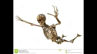 the adventures of mr skeletal 2