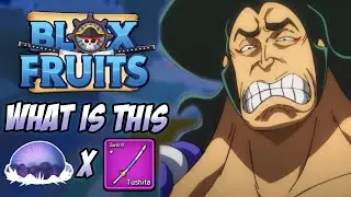 What Are These Public Servers... | Blox Fruits