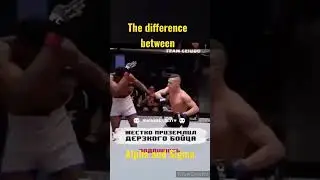 The difference between Alpha and Sigma 2 #shorts #boxing #mma