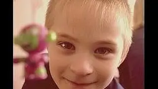 Русалочный инцидент
