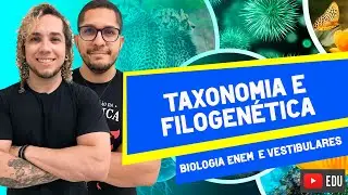 TAXONOMIA E FILOGENÉTICA - AULA 11 ISOLADA DE BIOLOGIA ENEM E VESTIBULARES