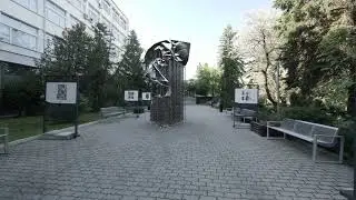 V dvora