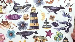 #summerstudio  Обзор бумаги Summer Studio. Морские и летние коллекции.