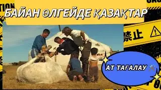 БАЙАН ӨЛГЕЙДЕ ҚАЗАҚТАР  |   АТ ТАҒАЛАУ ⚒️