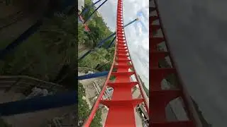 Florida’s VERTICAL DROP coaster🦅 #rollercoaster #themepark #amusementpark #buschgardens
