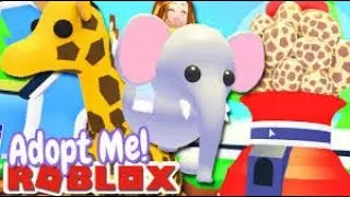 ROBLOX YUMURTADAN PET ÇIKTI   ADOPT ME !!! (Roblox Adopt Me Dog)