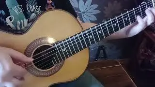 Маленкий кудрявый этюд / Little Curly Etude
