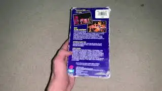 A Barney VHS Tape I Use To Have Got Damaged In 2013
