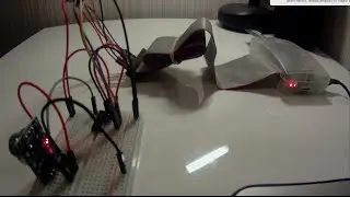 Raspberry Pi + MCP3008 + MQ-135 Gas Sensor