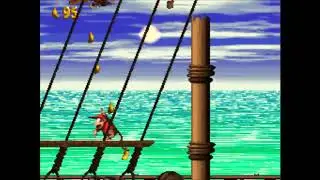 Donkey Kong Country 2 - Trash Casual
