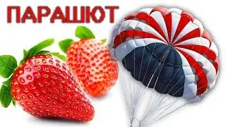 БОРЬБА С МЕДВЕДКОЙ на БОЛЬШОЙ ПЛОЩАДИ.