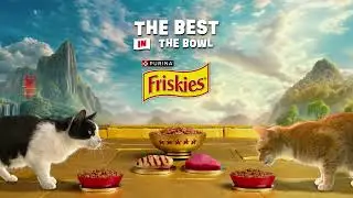 Epic Taste and Nutrition for Your Cat: Friskies Dry Cat Food