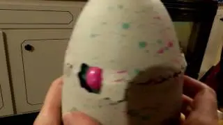 Baby Chica Starting To Hatch...Then She Falls Asleep!!!