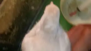 Cara nyepet/ngloloh burung puter