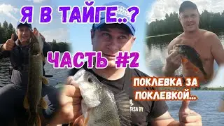 ОКУНЬ СОЖРАЛ ВСЮ РЕЗИНУ...ЛОВЛЯ НА МИКРОДЖИГ...СО СТРУНОЙ БУДЕТ ЖРАТЬ???