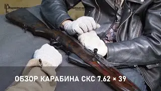 Обзор карабина СКС 7.62 × 39