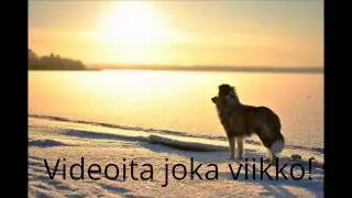 Maailman pelottavin video! (ET USKALLA KATSOA!)