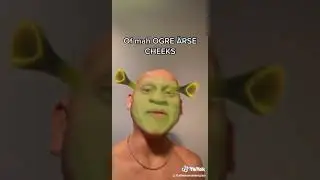 shrek is dummy thicc