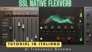 SSL Native Flexverb Tutorial in italiano