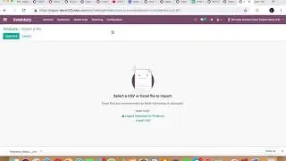 Odoo V12 - Importing Inventory Adjustments