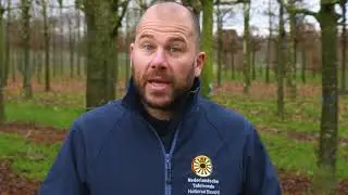 Hoe plant je een boom? Serviceproject 'Plant a Tree' van de Nederlandsche Tafelronde