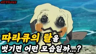 따라큐 속엔 무엇이 있을까...?