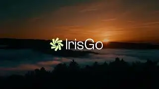 IrisGo - Meet your new digital butler