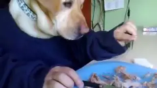 Відео старе але ще дуже смішне!!