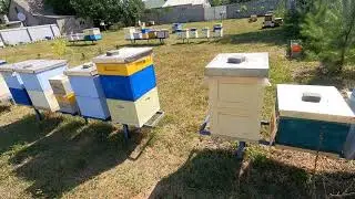Обмеження матки у гнізді!!! Придбав нові решітки.  Тестую БАКФАСТ!!!