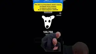 листинг DOGS