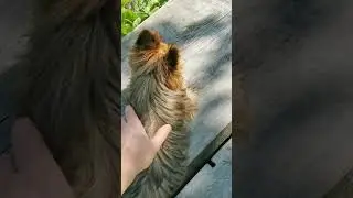 НАШ НОВЫЙ ЧЛЕН СЕМЬИ