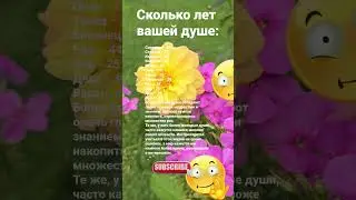 Сколько лет вашей душе / 7071 Знаки Зодиака Гороскоп Астрология Знак #рек  Душа