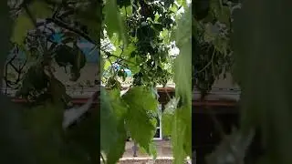 #дождь #звукидождя