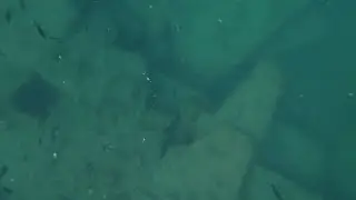 ВИСЯЧКИ.  ПОДВОДНАЯ ОХОТА.
