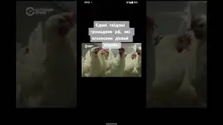терпили