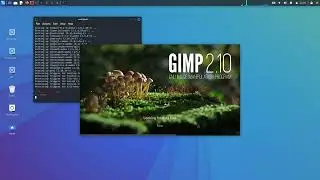 Installing Gimp in Kali Linux