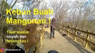 Kebun buah mangunan