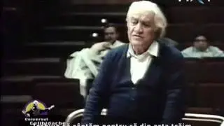 Universul Celibidache (1)