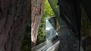 крузак везёт везде Камчатка ☝️