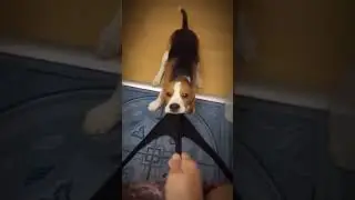 личное пространство 🤣 