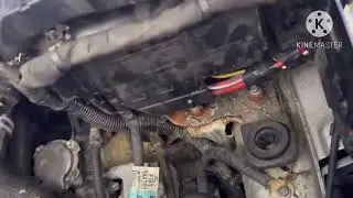 Ford focus Radiator Fan Not Working