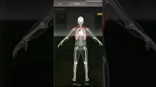 How to Heal in Gray zone Warfare! 