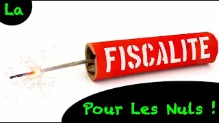 La Fiscalité Pour Les Nuls